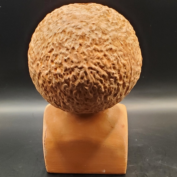 Bob Ross Artist Vintage Look Terracotta Redware Clay Chia Pet Pottery Head Bust - Picture 6 of 11